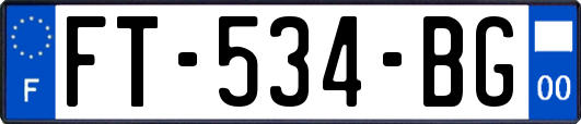 FT-534-BG