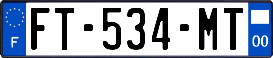 FT-534-MT