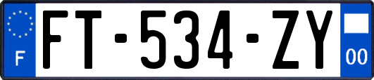 FT-534-ZY