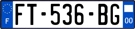 FT-536-BG