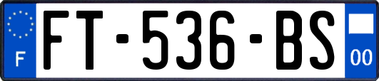 FT-536-BS