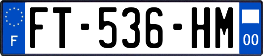 FT-536-HM