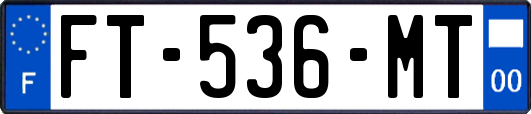 FT-536-MT