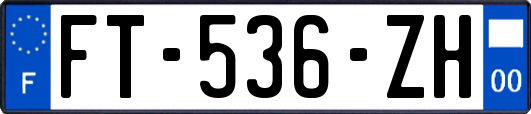 FT-536-ZH