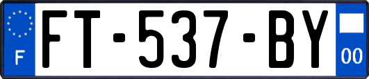 FT-537-BY