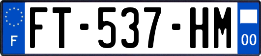 FT-537-HM