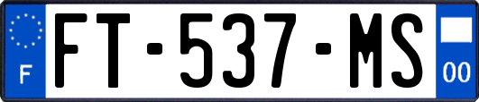 FT-537-MS