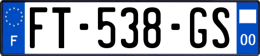 FT-538-GS