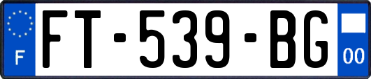 FT-539-BG