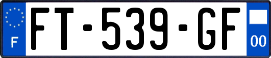 FT-539-GF