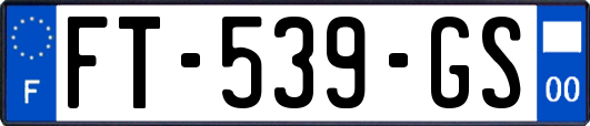 FT-539-GS