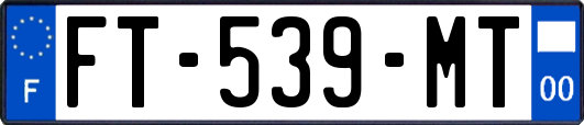FT-539-MT