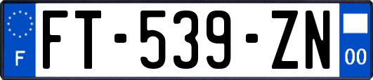 FT-539-ZN