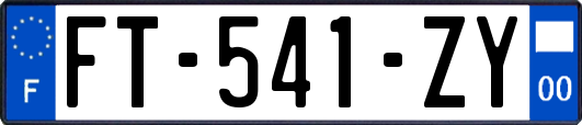 FT-541-ZY