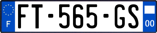 FT-565-GS