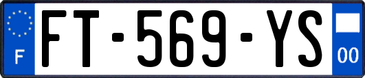 FT-569-YS