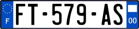 FT-579-AS