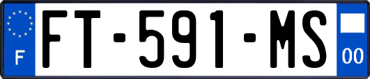 FT-591-MS