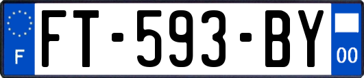 FT-593-BY