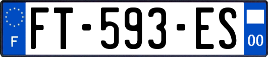 FT-593-ES