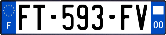FT-593-FV