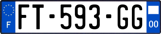 FT-593-GG
