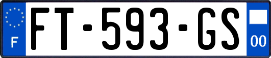 FT-593-GS