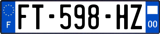 FT-598-HZ