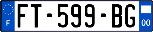 FT-599-BG