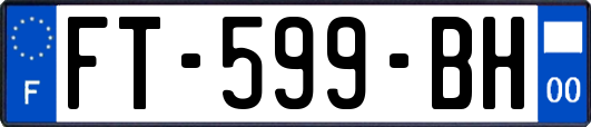 FT-599-BH