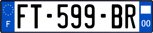 FT-599-BR