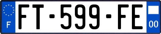 FT-599-FE