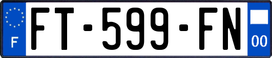 FT-599-FN