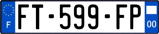 FT-599-FP