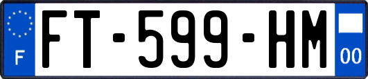 FT-599-HM