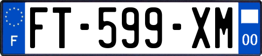 FT-599-XM
