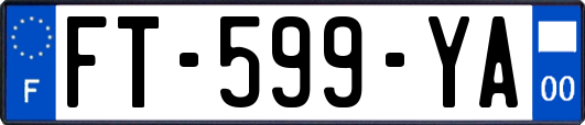 FT-599-YA