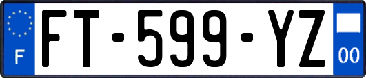 FT-599-YZ