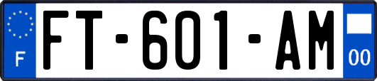 FT-601-AM