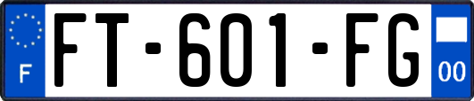 FT-601-FG