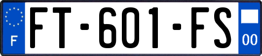 FT-601-FS