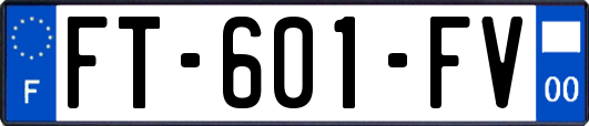 FT-601-FV