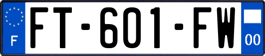 FT-601-FW