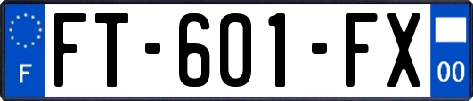 FT-601-FX
