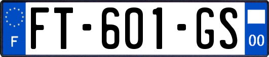 FT-601-GS