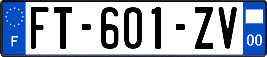 FT-601-ZV