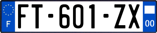 FT-601-ZX