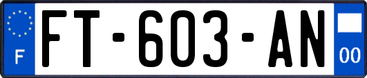 FT-603-AN