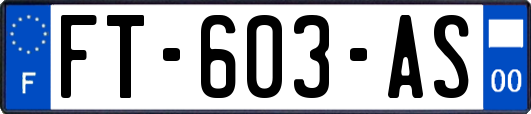 FT-603-AS