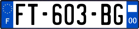 FT-603-BG
